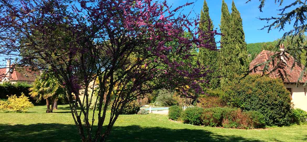 Le parc du Moulin du Boisset